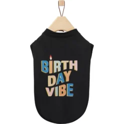 Frisco Birthday Vibe Dog & Cat T-Shirt