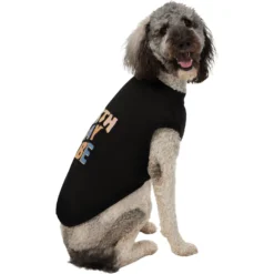 Frisco Birthday Vibe Dog & Cat T-Shirt -PetPalace Picks 368790 PT4. AC SS1800 V1669100229