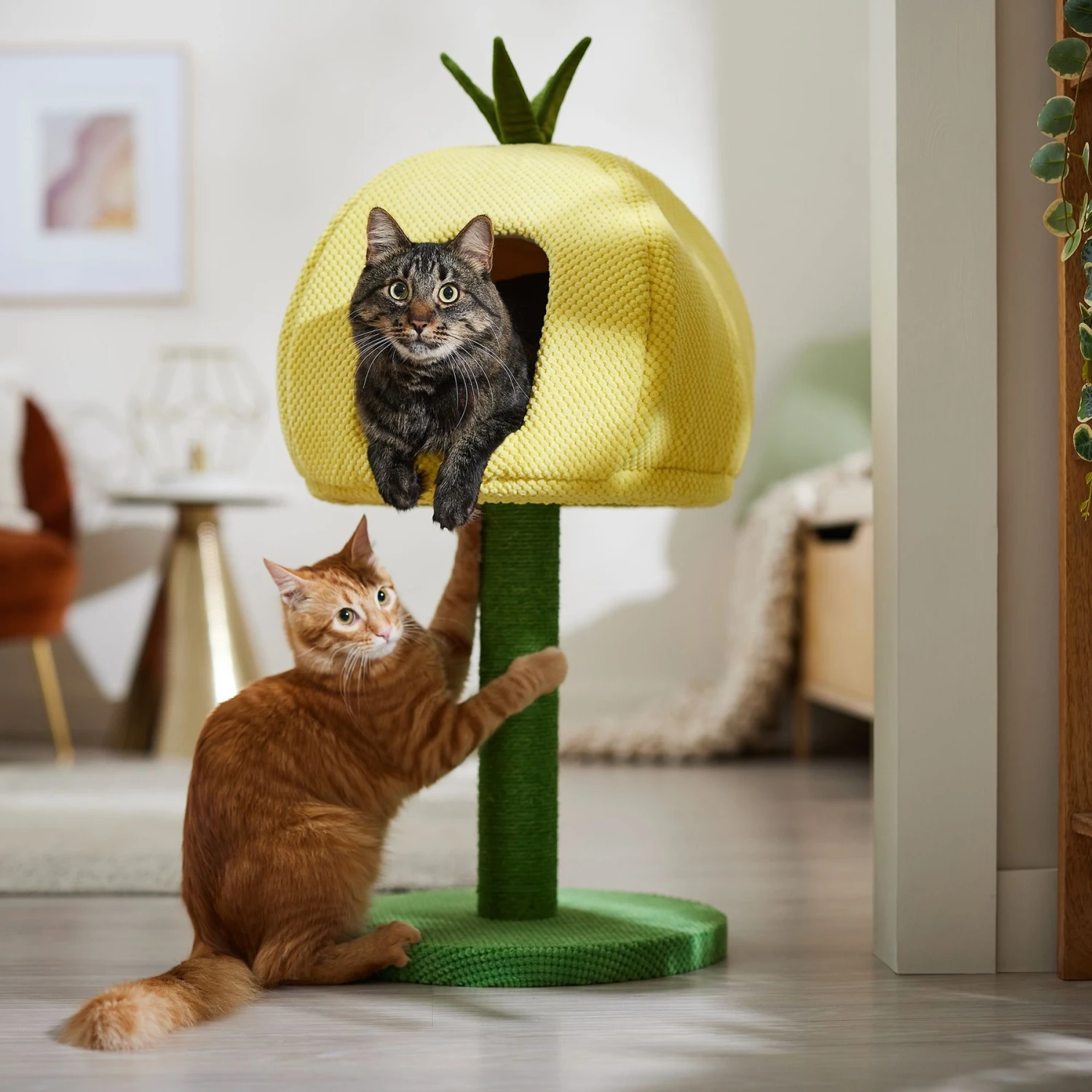 Frisco Pineapple 33.5" Plush Cat Scratching Post And Condo 1 Frisco Pineapple 33.5" Plush Cat Scratching Post And Condo