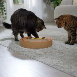 Frisco Interactive Maze & Scratch Cardboard Cat Toy With Catnip, Pizza -PetPalace Picks 506154 PT4. AC SS1800 V1669148129