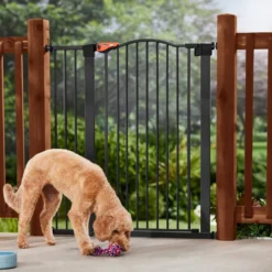 Frisco Outdoor Steel Arch Extra Tall Auto-Close Dog Gate