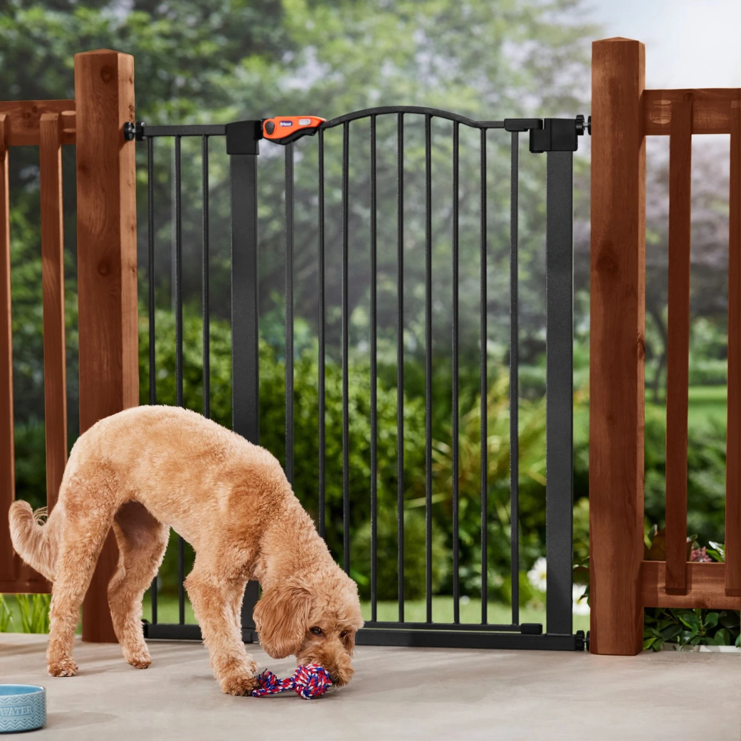 Frisco Outdoor Steel Arch Extra Tall Auto-Close Dog Gate 1 Frisco Outdoor Steel Arch Extra Tall Auto-Close Dog Gate