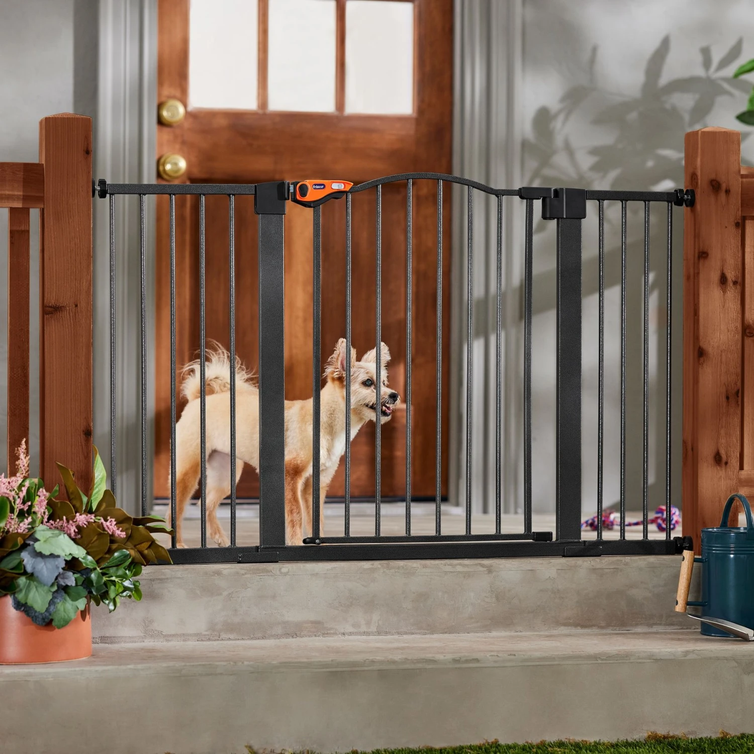 Frisco Outdoor Steel Arch Extra Wide Auto-Close Dog Gate 1 Frisco Outdoor Steel Arch Extra Wide Auto-Close Dog Gate