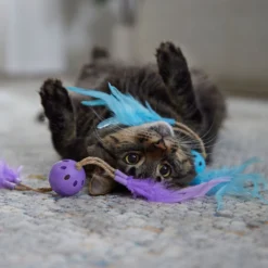 Frisco Feather & Play Plastic Balls Cat Toy, 2 Count -PetPalace Picks 525998 PT3. AC SS1800 V1669148124