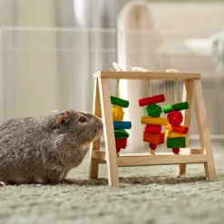 Frisco Activity Play Table Small Pet Toy -PetPalace Picks 536846 PT4. AC SS1800 V1668902495