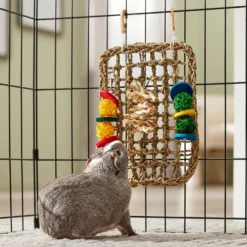 Frisco Spotted Cornleaf Wall Playmat Small Pet Toy -PetPalace Picks 536878 PT3. AC SS1800 V1668902494