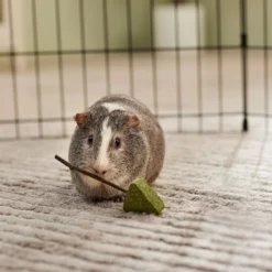 Frisco Hay Trees Small Pet Toy -PetPalace Picks 536894 PT3. AC SS1800 V1668902550