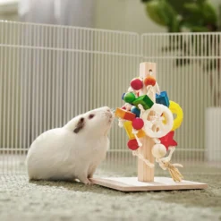 Frisco Activity Play Post Small Pet Toy -PetPalace Picks 536910 PT3. AC SS1800 V1668902494