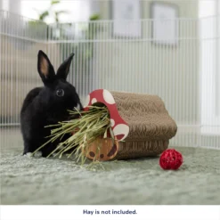 Frisco Mushroom Hide & Chew Small Pet Toy -PetPalace Picks 536926 PT3. AC SS1800 V1669393022