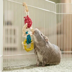 Frisco Spotted Cornleaf Twist Ring Small Pet Toy 5 Frisco Spotted Cornleaf Twist Ring Small Pet Toy -PetPalace Picks 536942 PT3. AC SS1800 V1668902494