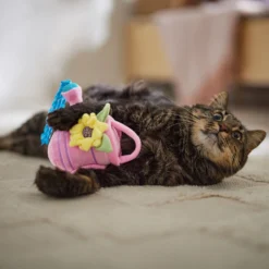 Frisco Spring Watering Can Plush Cat Toy With Catnip -PetPalace Picks 541558 PT3. AC SS1800 V1671814448