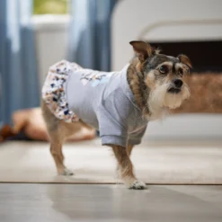 Frisco Stay Wild Dog & Cat Hoodie -PetPalace Picks 555366 PT6. AC SS1800 V1674829061