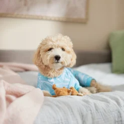 Frisco Blue Ocean Waves Dog & Cat Jersey PJs -PetPalace Picks 556142 PT5. AC SS1800 V1674828705