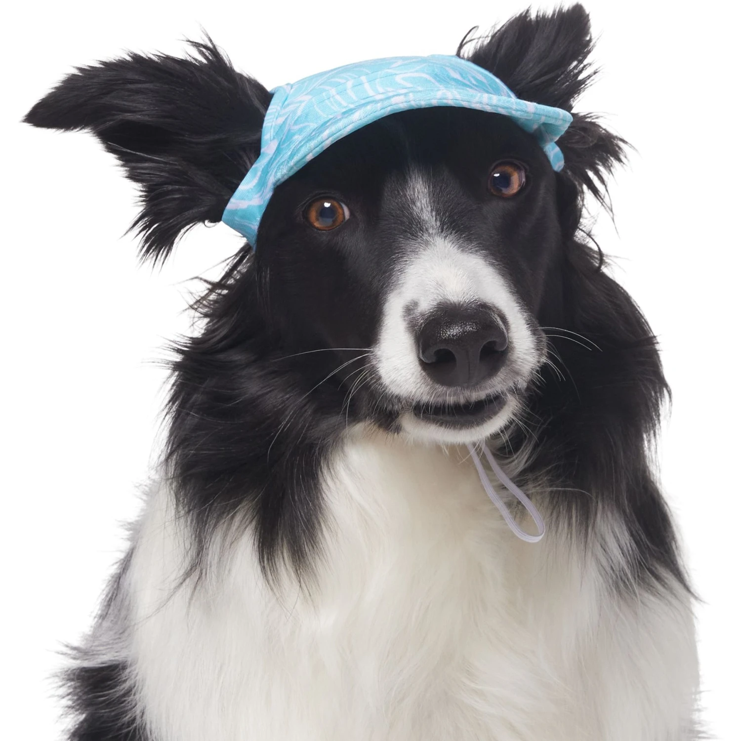 Frisco Blue Ocean Waves 30 + UPF Dog & Cat Beach Cap 4 Frisco Blue Ocean Waves 30 + UPF Dog & Cat Beach Cap - Image 4