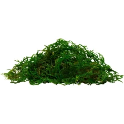 Frisco Terrarium Sphagnum Moss Reptile Bedding -PetPalace Picks 569134 PT3. AC SS1800 V1666277335