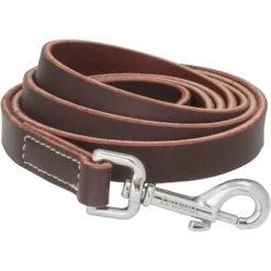 Frisco Top Grain Leather Leash + 4 Items -PetPalace Picks 630958 PT3. AC SS1800 V1662739527