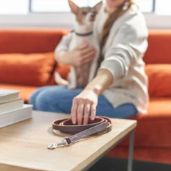 Frisco Top Grain Leather Leash + 4 Items -PetPalace Picks 630958 PT4. AC SS1800 V1662742186