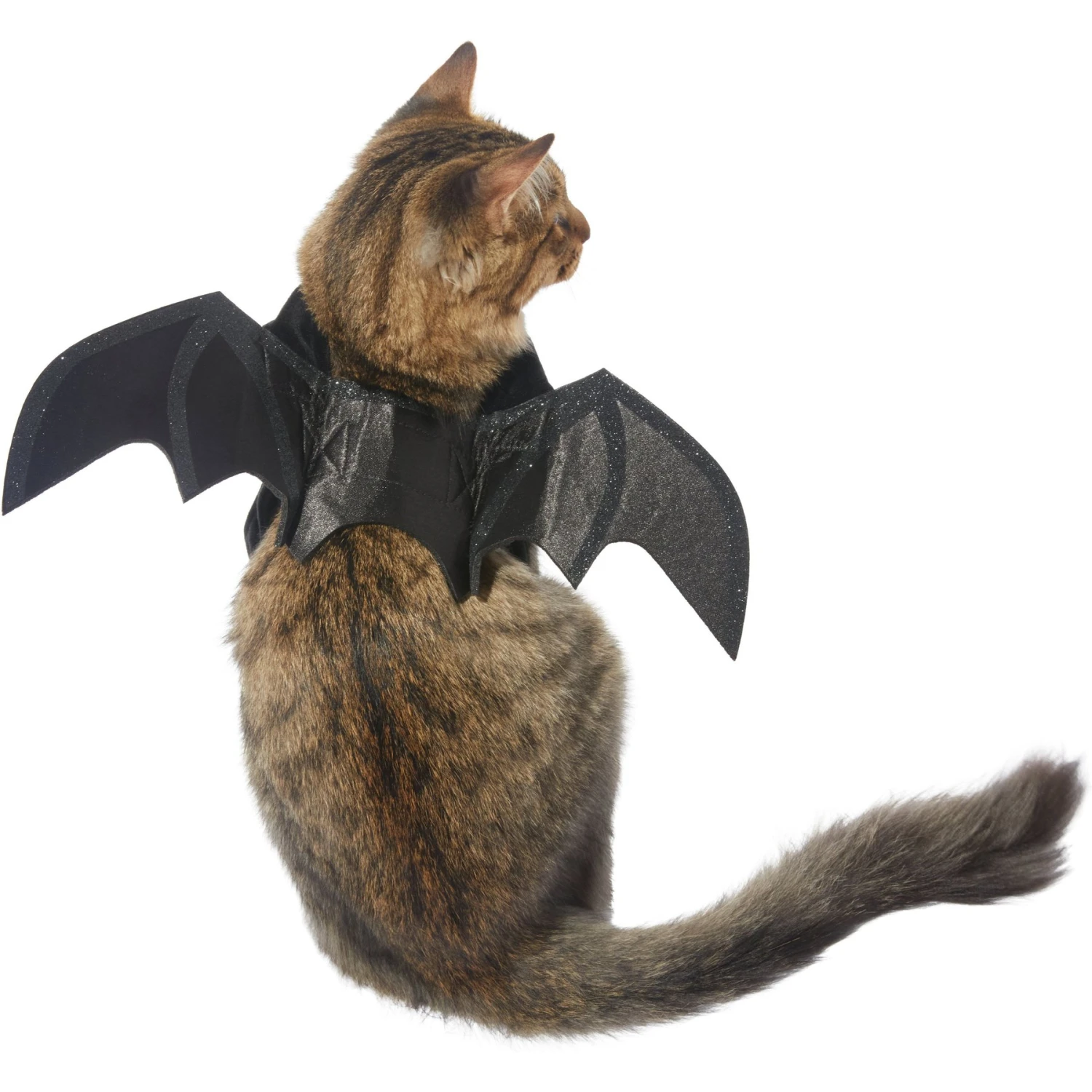 Frisco Bat Wings Dog & Cat Costume & Buckle-Down Batman Shield Polyester Dog Collar 3 Frisco Bat Wings Dog & Cat Costume & Buckle-Down Batman Shield Polyester Dog Collar - Image 3