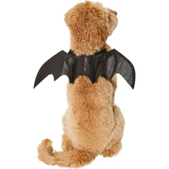 Frisco Bat Wings Dog & Cat Costume & Buckle-Down Batman Shield Polyester Dog Collar 12 Frisco Bat Wings Dog & Cat Costume & Buckle-Down Batman Shield Polyester Dog Collar -PetPalace Picks 638566 PT3. AC SS1800 V1663254451