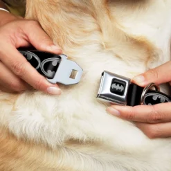 Frisco Bat Wings Dog & Cat Costume & Buckle-Down Batman Shield Polyester Dog Collar 15 Frisco Bat Wings Dog & Cat Costume & Buckle-Down Batman Shield Polyester Dog Collar -PetPalace Picks 638566 PT6. AC SS1800 V1663254111