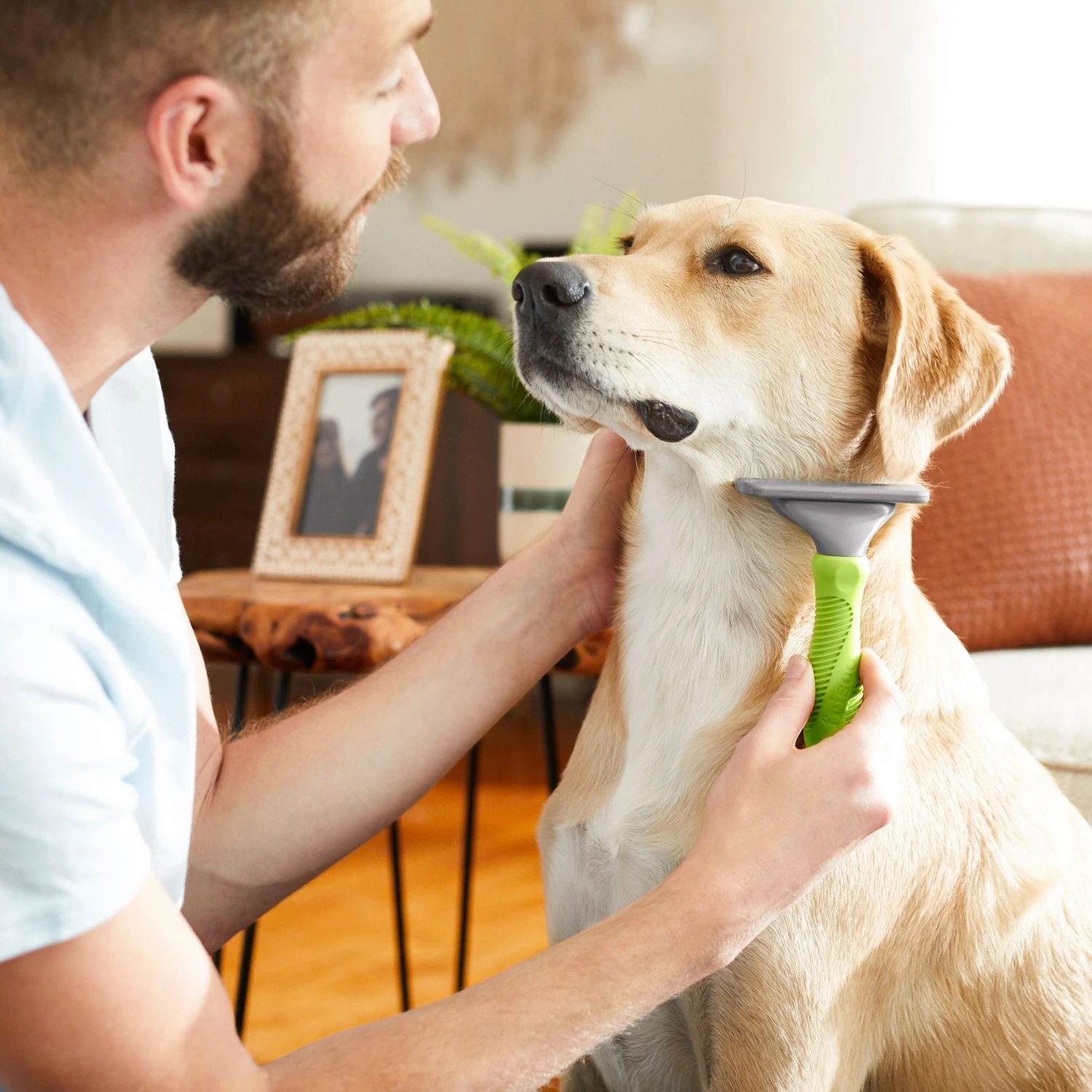 Frisco 71-in Faux Fur Cat Tree & Condo & Frisco Deshedding Dog & Cat Brush 8 Frisco 71-in Faux Fur Cat Tree & Condo & Frisco Deshedding Dog & Cat Brush - Image 8