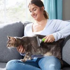 Frisco 71-in Faux Fur Cat Tree & Condo & Frisco Deshedding Dog & Cat Brush 17 Frisco 71-in Faux Fur Cat Tree & Condo & Frisco Deshedding Dog & Cat Brush -PetPalace Picks 660294 PT8. AC SS1800 V1666838810