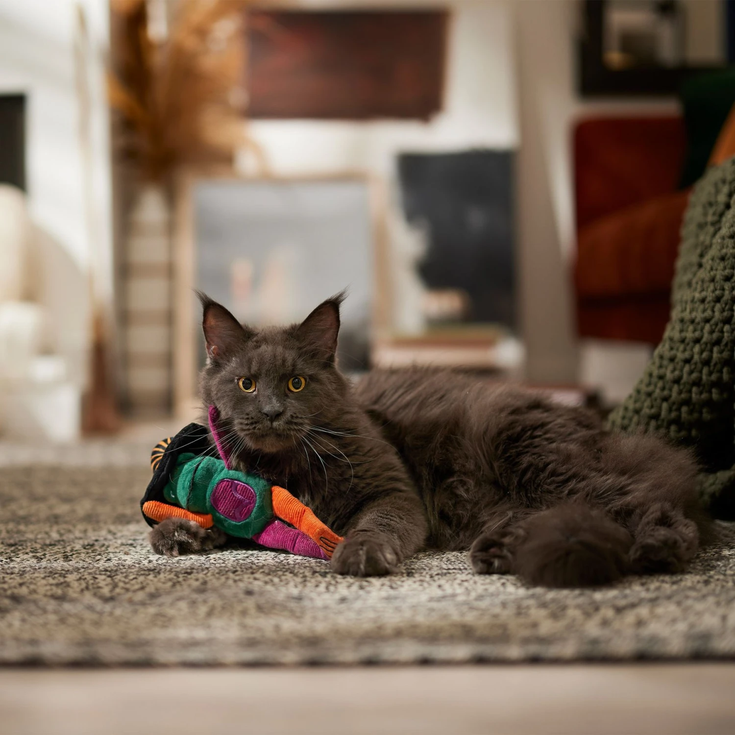 Frisco Halloween Frog In Witch Hat Plush Kicker Cat Toy With Catnip 3 Frisco Halloween Frog In Witch Hat Plush Kicker Cat Toy With Catnip - Image 3