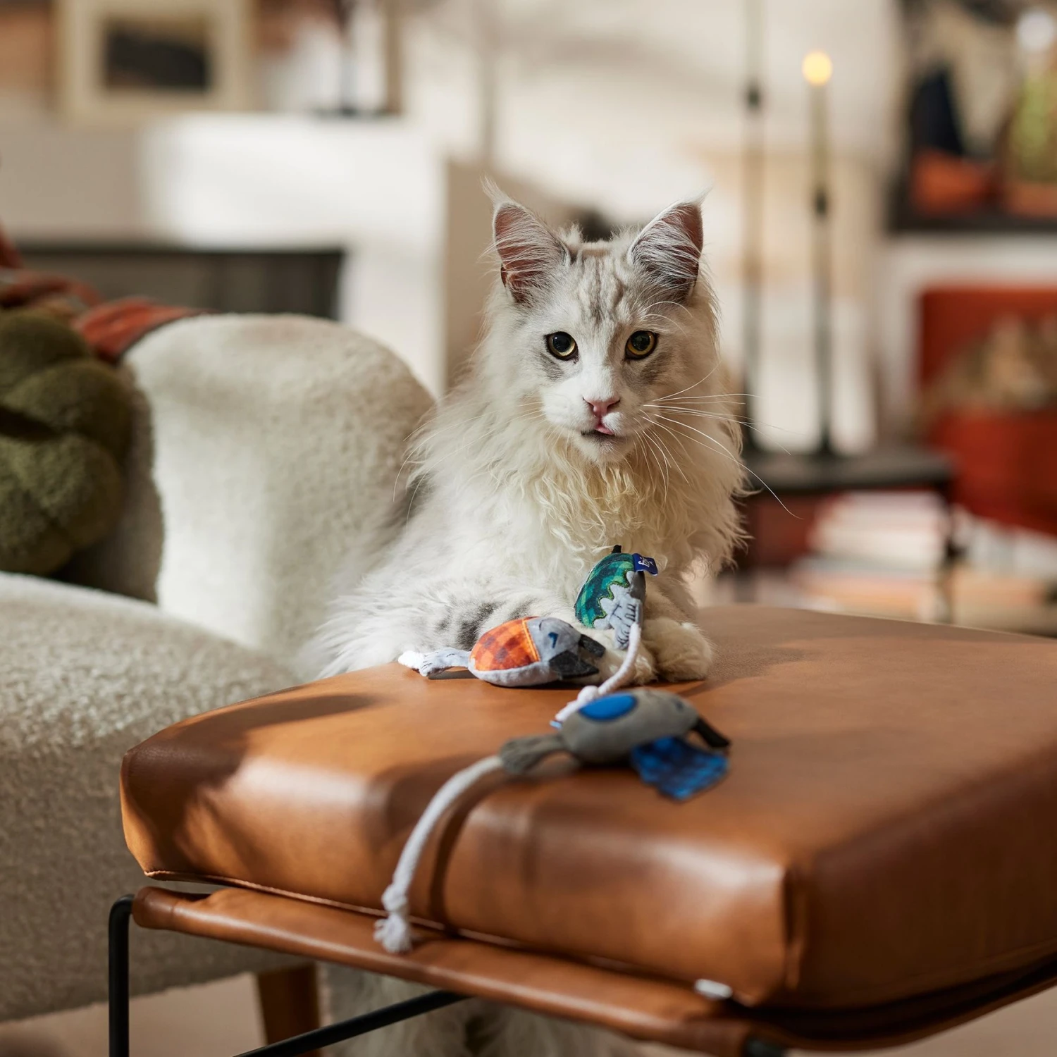 Frisco Halloween Cutie Bats Plush Cat Toy With Catnip 3 Frisco Halloween Cutie Bats Plush Cat Toy With Catnip - Image 3