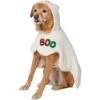 Frisco Boo-Tastic Ghost Dog & Cat Costume Cape