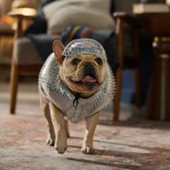 Frisco Disco Ball Dog & Cat Costume -PetPalace Picks 707934 PT7. AC SS1800 V1689271312