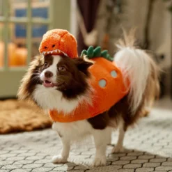 Frisco Furry Dinosaur Dog & Cat Costume -PetPalace Picks 708190 PT7. AC SS1800 V1689278373