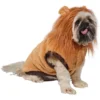 Frisco Lion Love Dog & Cat Costume