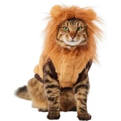 Frisco Lion Love Dog & Cat Costume 11 Frisco Lion Love Dog & Cat Costume -PetPalace Picks 708318 PT2. AC SS1800 V1689341486