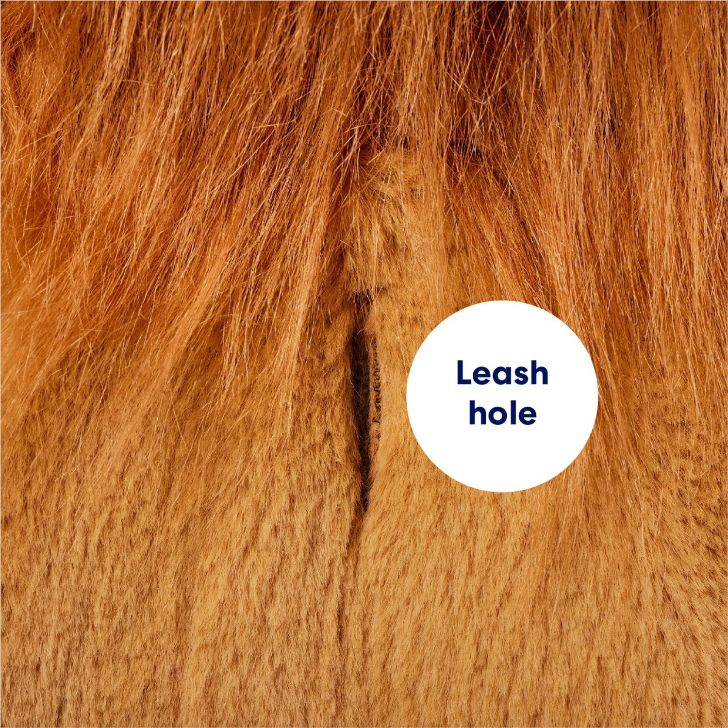 Frisco Lion Love Dog & Cat Costume 7 Frisco Lion Love Dog & Cat Costume - Image 7