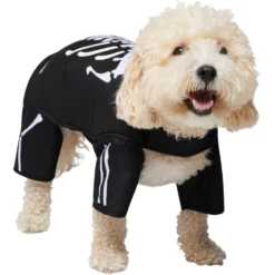 Frisco Glow In The Dark Skeleton Dog & Cat Costume