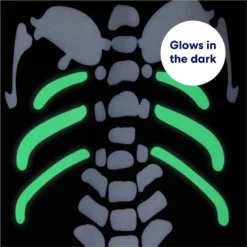 Frisco Glow In The Dark Skeleton Dog & Cat Costume -PetPalace Picks 709038 PT5. AC SS1800 V1689340910