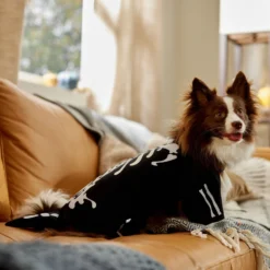 Frisco Glow In The Dark Skeleton Dog & Cat Costume -PetPalace Picks 709038 PT7. AC SS1800 V1689350988