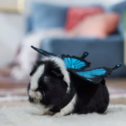 Frisco Small Pet Butterfly Wings 12 Frisco Small Pet Butterfly Wings -PetPalace Picks 714406 PT7. AC SS1800 V1688584657