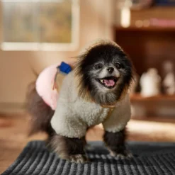 Frisco Colorblock Fleece Dog & Cat Hoodie W/ Pocket -PetPalace Picks 718278 PT7. AC SS1800 V1692375977