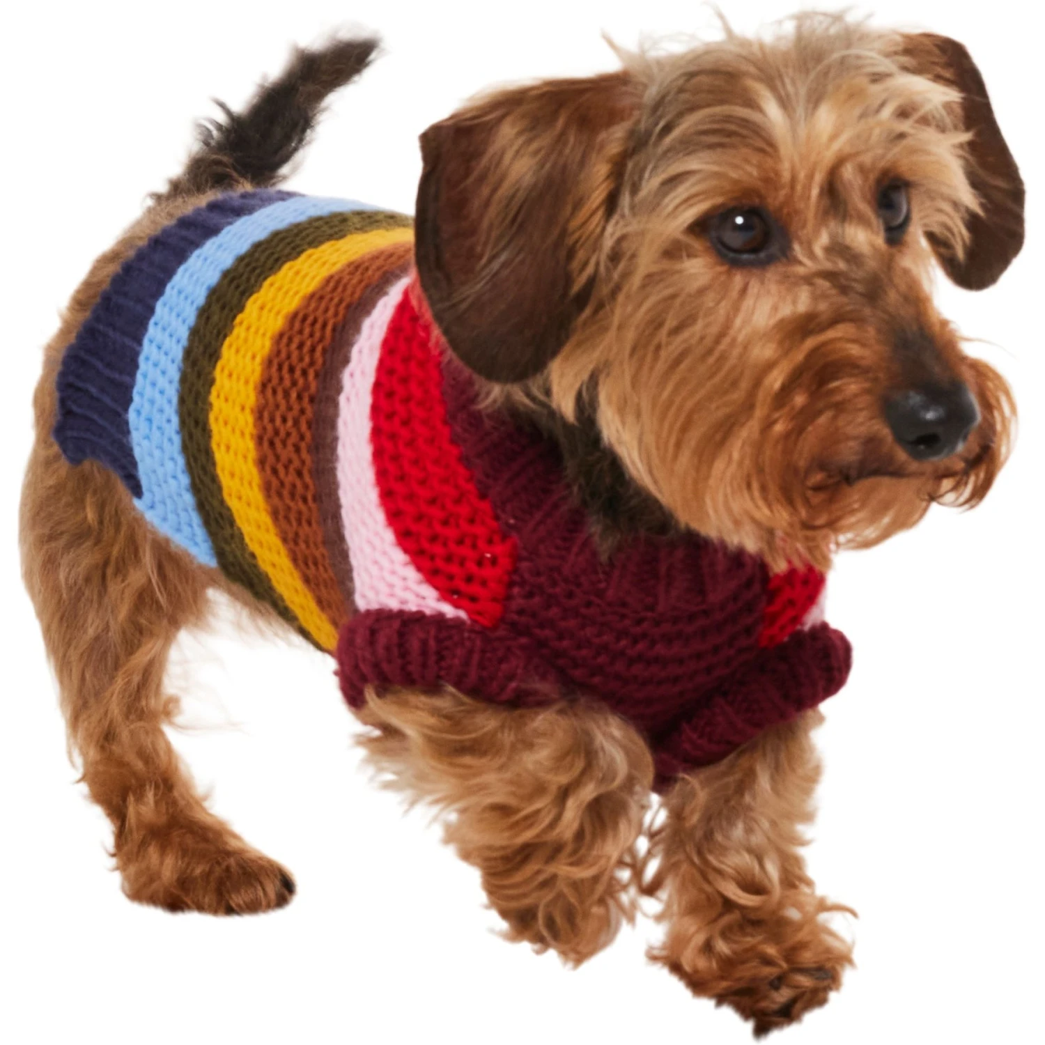 Frisco Chunky Knit Multi-Stripe Dog & Cat Sweater 3 Frisco Chunky Knit Multi-Stripe Dog & Cat Sweater - Image 3