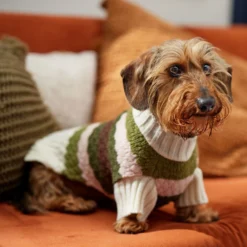 Frisco Bubble Knit Multi Striped Mock Neck Dog & Cat Sweater -PetPalace Picks 718854 PT7. AC SS1800 V1692378688
