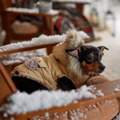 Frisco Heavy Weight Matte Quilted Dog & Cat Parka With Cozy Fleece Lining -PetPalace Picks 719654 PT7. AC SS1800 V1692376037