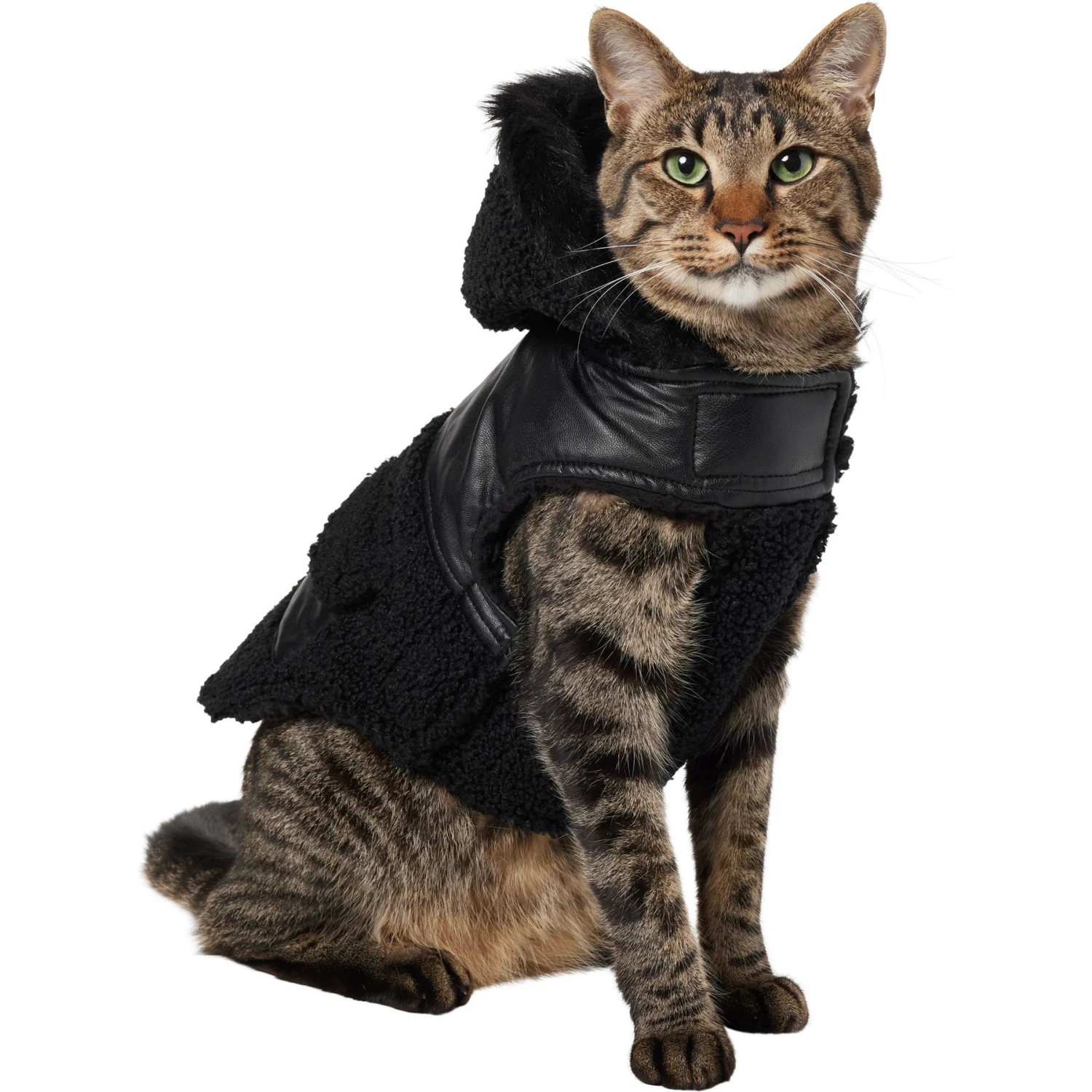 Frisco Medium Weight Faux Leather Dog & Cat Parka With Faux Fur Trimmed Hood, Black 1 Frisco Medium Weight Faux Leather Dog & Cat Parka With Faux Fur Trimmed Hood, Black