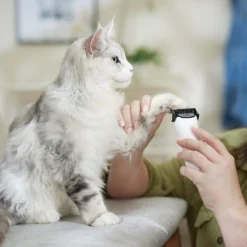 Rechargeable Cordless Cat & Dog Hair Clipper, White 10 Rechargeable Cordless Cat & Dog Hair Clipper, White -PetPalace Picks 729710 PT4. AC SS1800 V1683147134