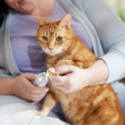 Rechargeable Cordless Cat & Dog 3-Speed Nail Grinder, White 12 Rechargeable Cordless Cat & Dog 3-Speed Nail Grinder, White -PetPalace Picks 729774 PT5. AC SS1800 V1683147135