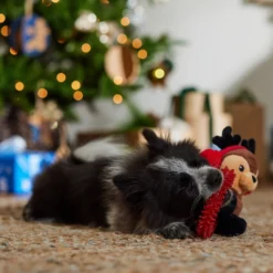 Frisco Holiday Reindeer Plush With TPR Ring Squeaky Puppy Toy -PetPalace Picks 739958 PT3. AC SS1800 V1695046549