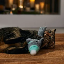 Frisco Holiday Interactive Flopping Seal Electronic Cat Toy With Catnip 10 Frisco Holiday Interactive Flopping Seal Electronic Cat Toy With Catnip -PetPalace Picks 740102 PT4. AC SS1800 V1695043876