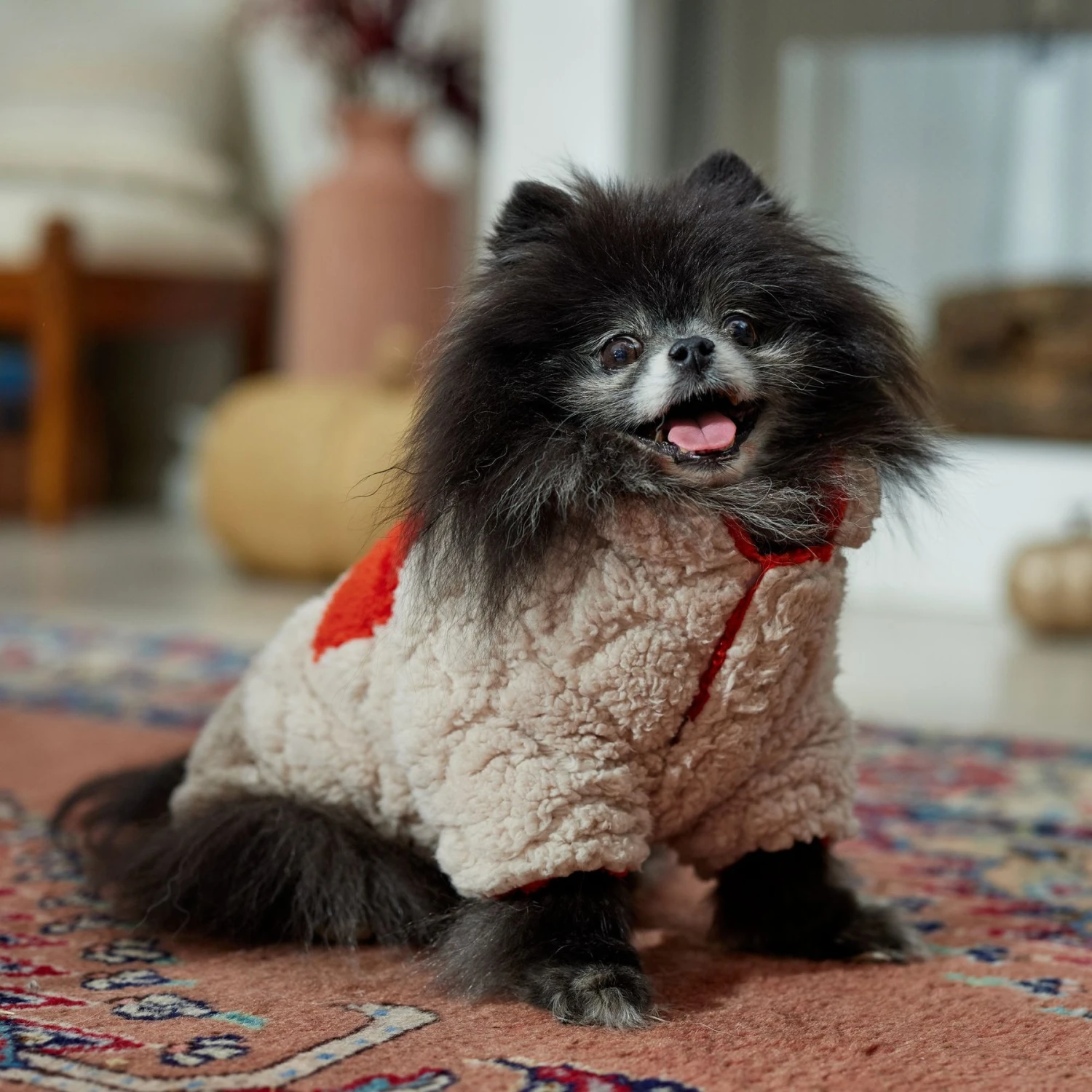 Frisco Medium Weight Quilted Sherpa Dog & Cat Zipper Coat 7 Frisco Medium Weight Quilted Sherpa Dog & Cat Zipper Coat - Image 7