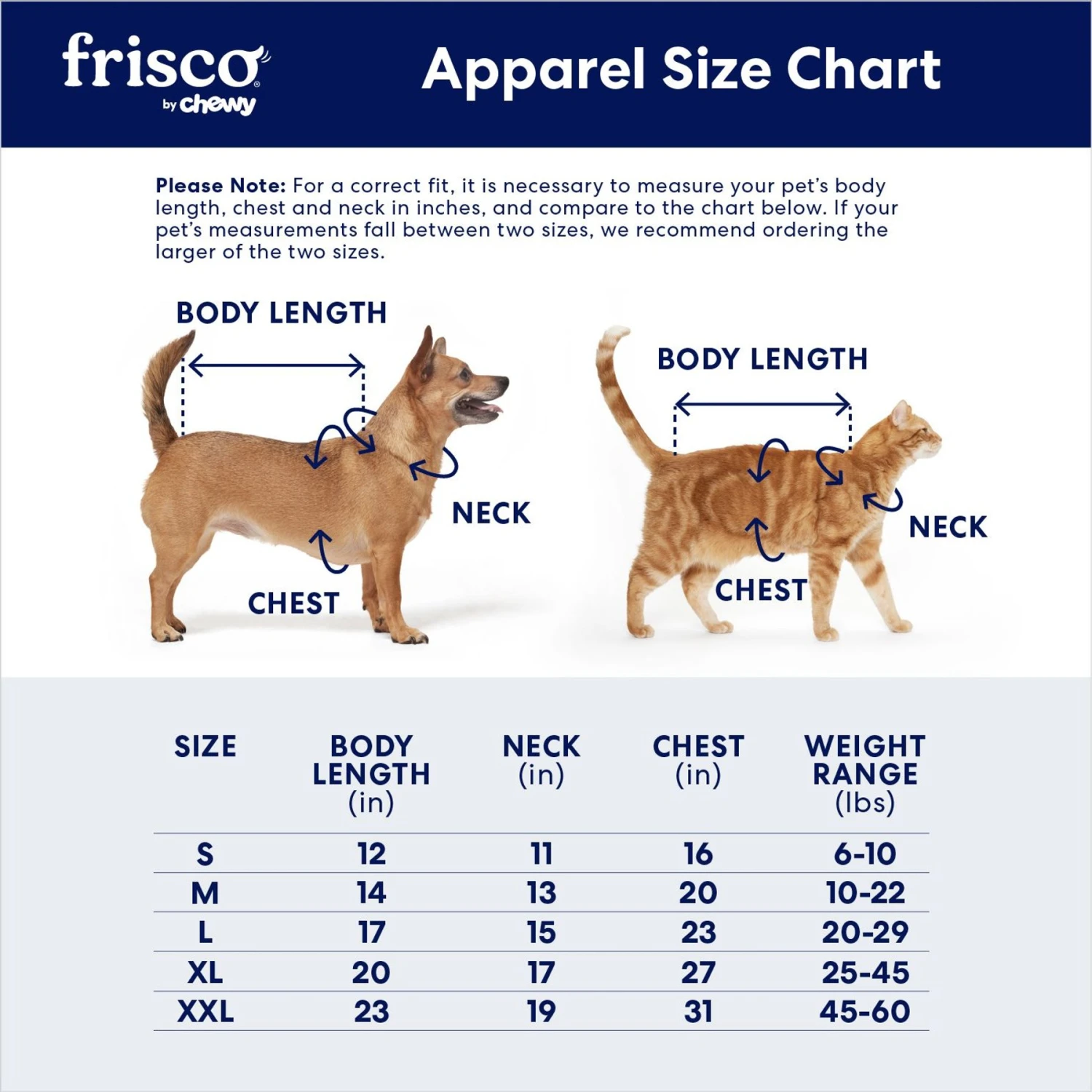 Frisco Medium Weight Quilted Ruffle Tiered Dog & Cat Dress 2 Frisco Medium Weight Quilted Ruffle Tiered Dog & Cat Dress - Image 2