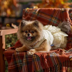 Frisco Medium Weight Quilted Ruffle Tiered Dog & Cat Dress 16 Frisco Medium Weight Quilted Ruffle Tiered Dog & Cat Dress -PetPalace Picks 744262 PT7. AC SS1800 V1693401666